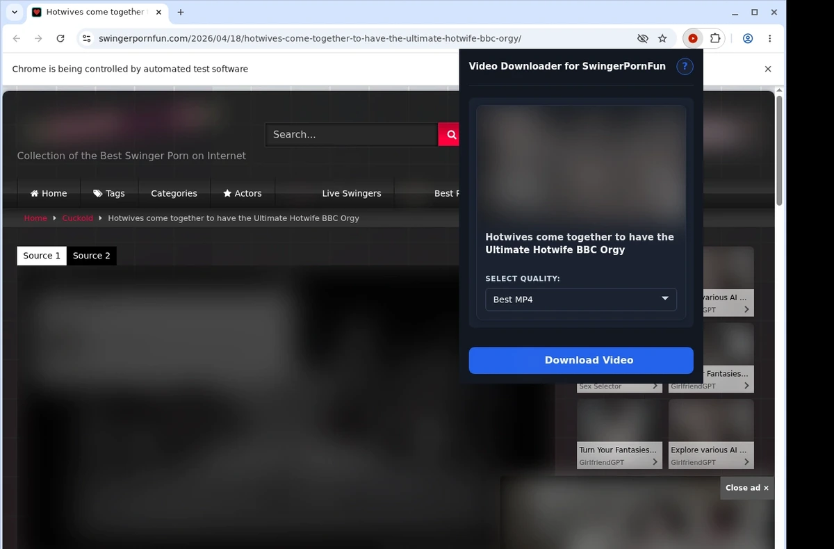 SwingerPornFun Downloader ready state screenshot