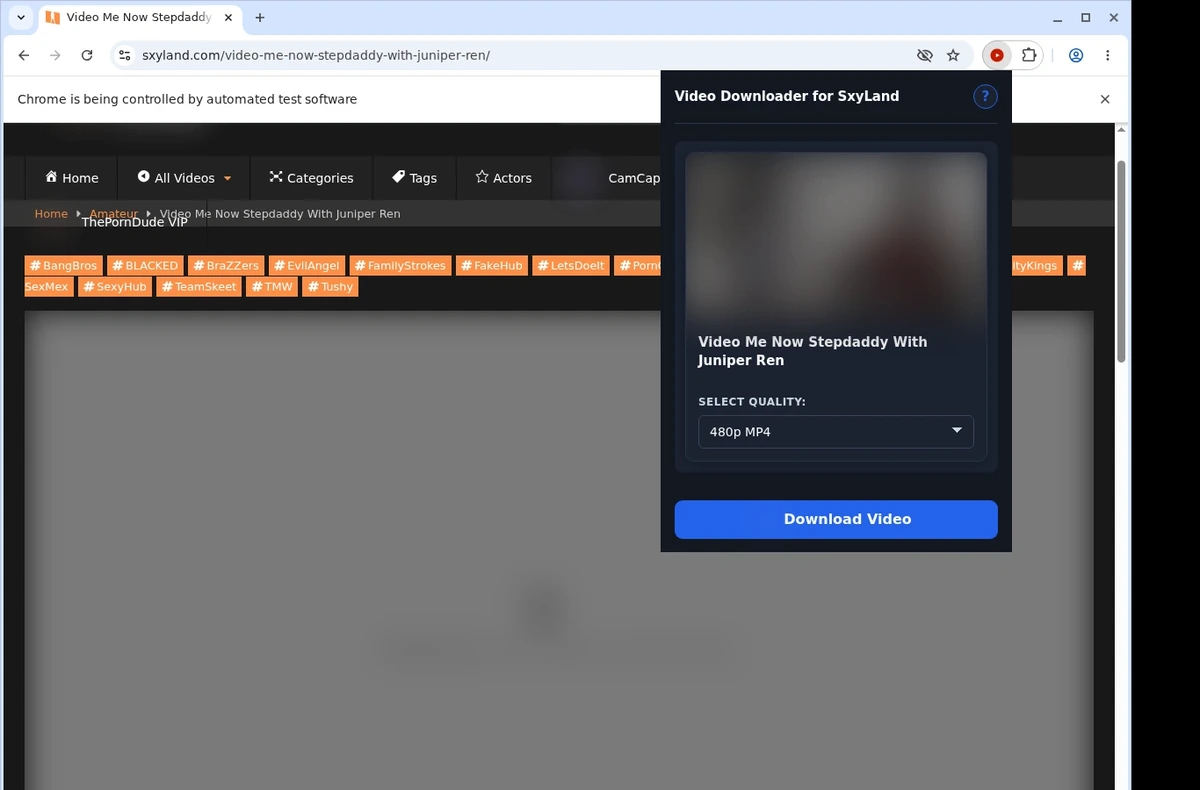 SxyLand Video Downloader ready state screenshot