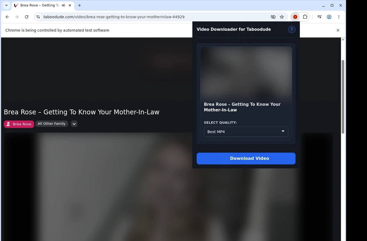 TabooDude Video Downloader ready state screenshot