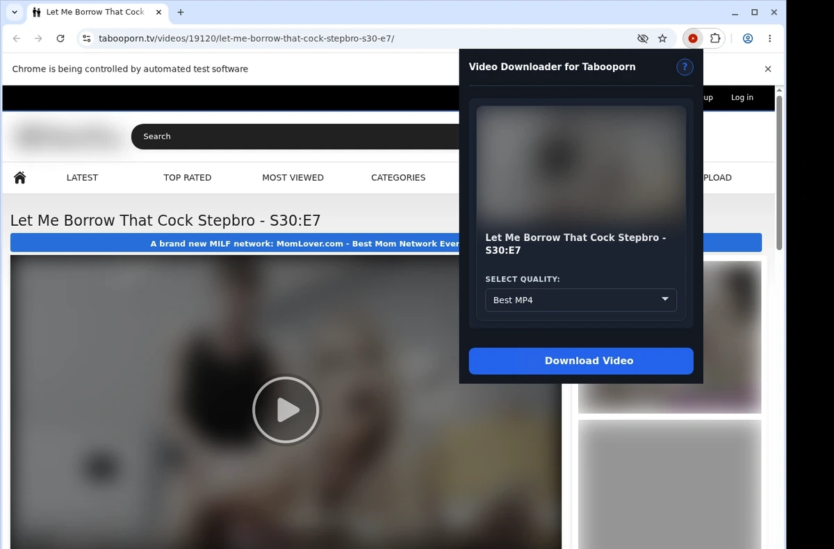 TabooPorn Video Downloader ready state screenshot