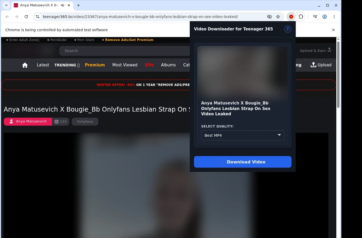 Teenager365 Video Downloader ready state screenshot