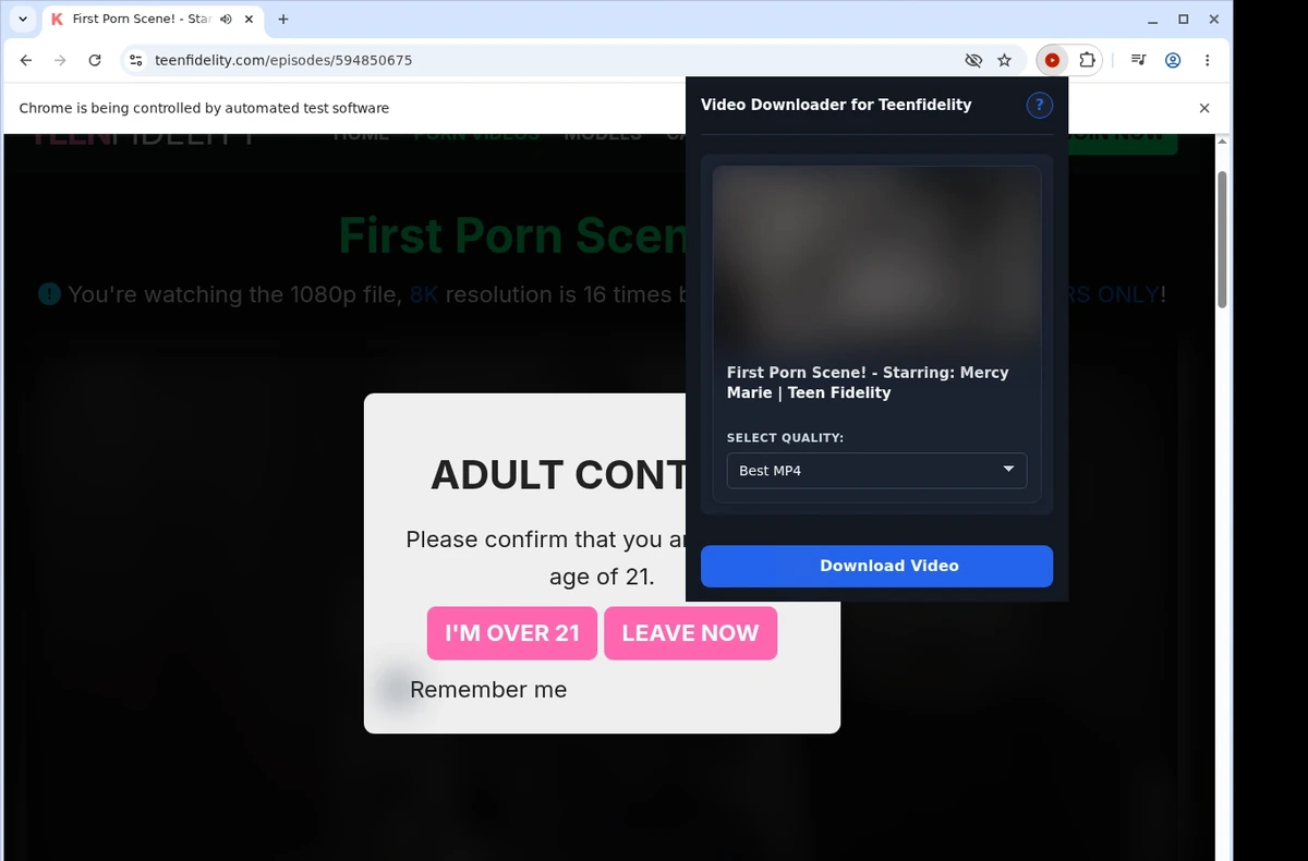 TeenFidelity Video Downloader ready state screenshot