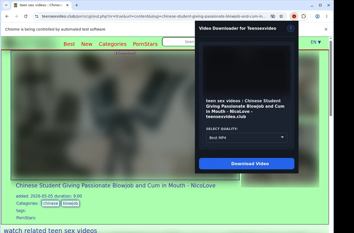 Teensexvideo Video Downloader ready state screenshot