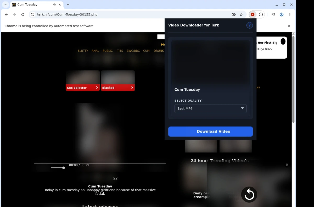Terk Video Downloader ready state screenshot