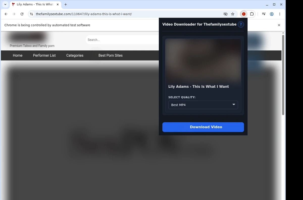 TheFamilySexTube Video Downloader ready state screenshot