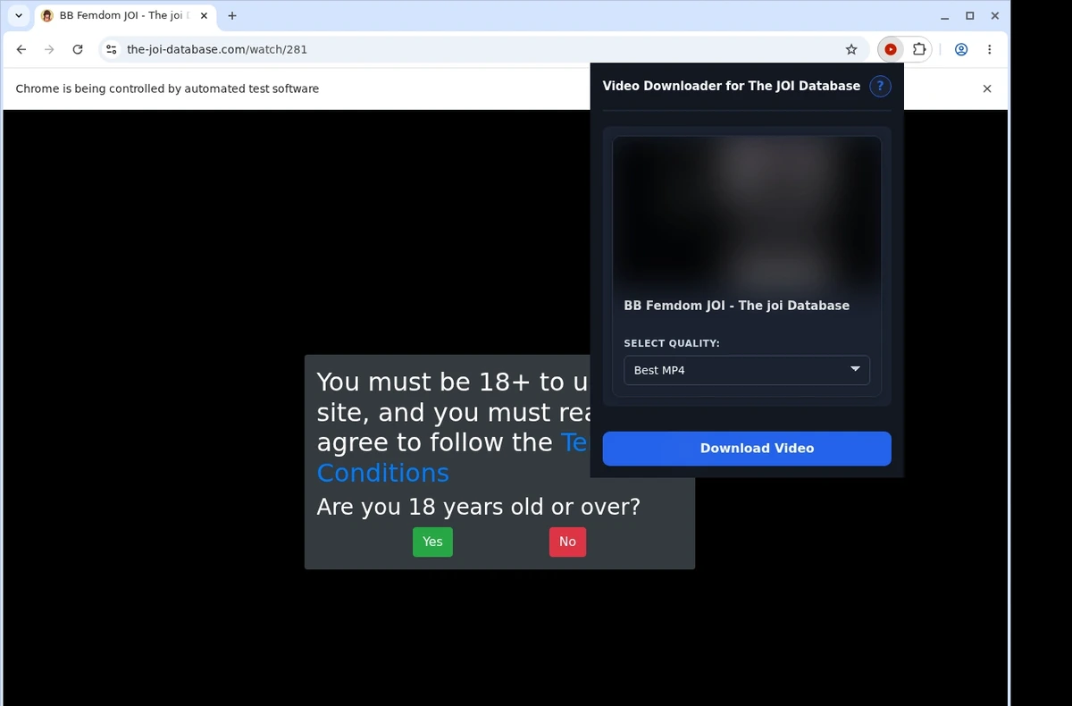 The JOI Database Video Downloader ready state screenshot