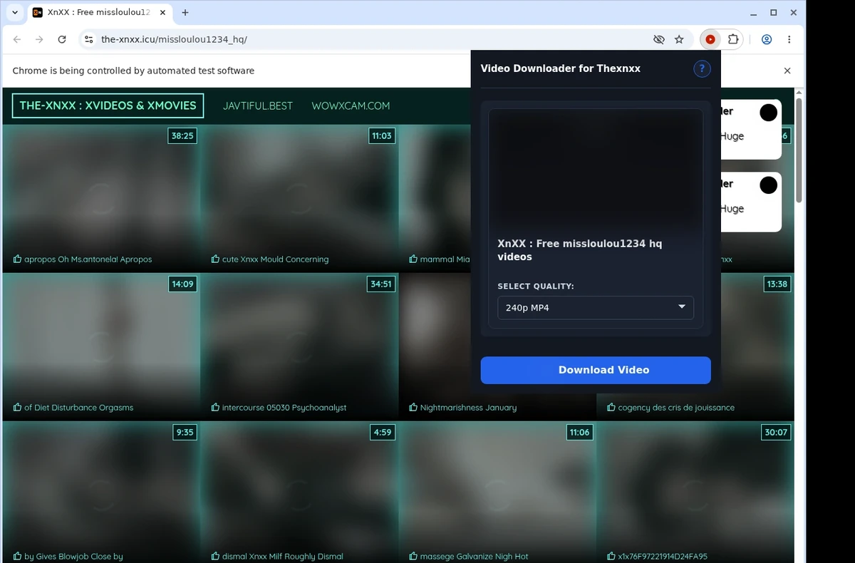 Thexnxx Downloader ready state screenshot