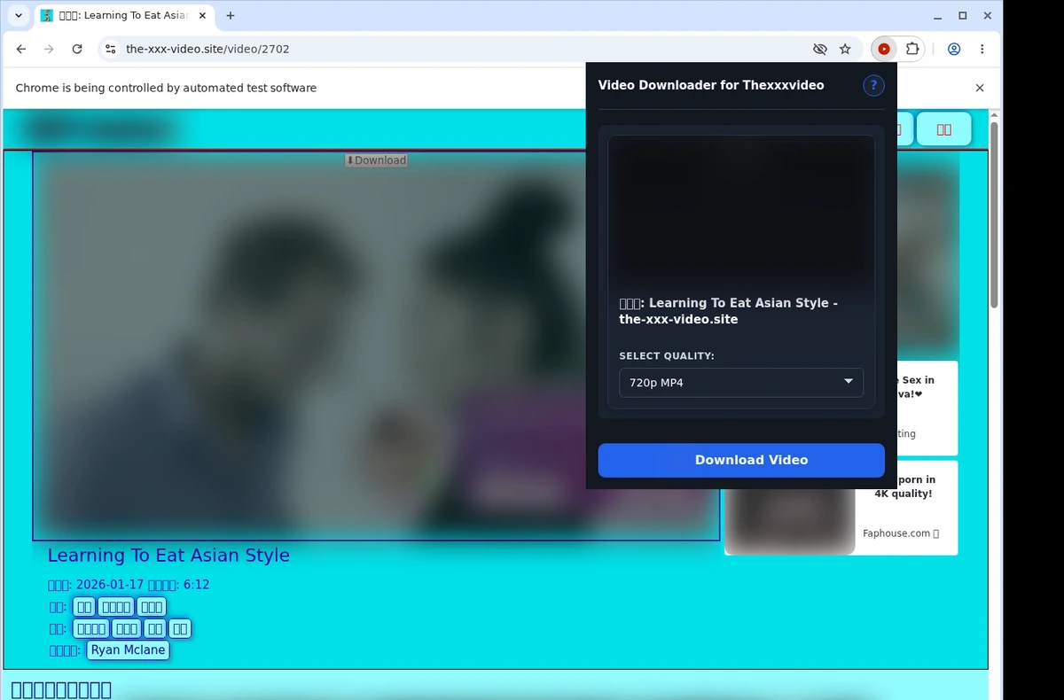 Thexxxvideo Video Downloader ready state screenshot