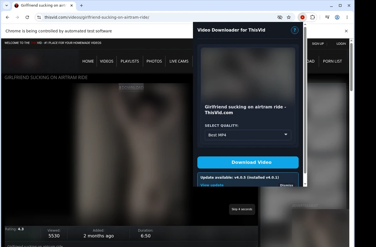 ThisVid Video Downloader ready state screenshot