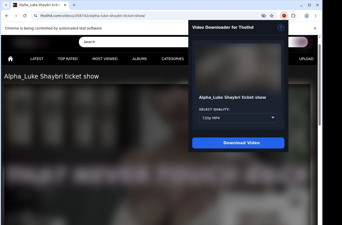 ThotHD Video Downloader ready state screenshot