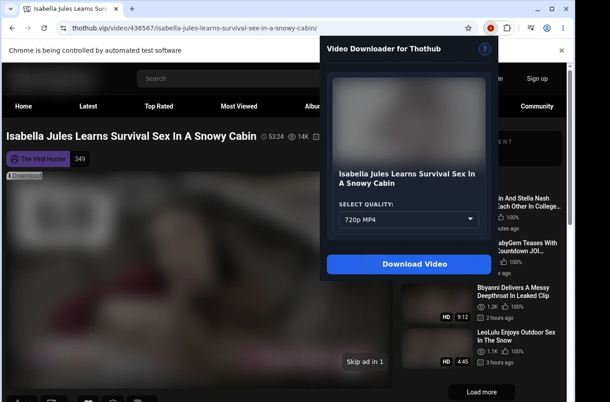 ThotHub Video Downloader ready state screenshot