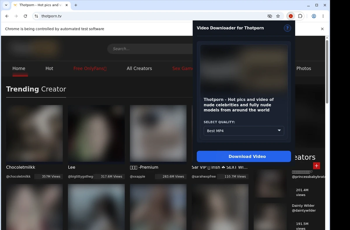 ThotPorn Video Downloader ready state screenshot