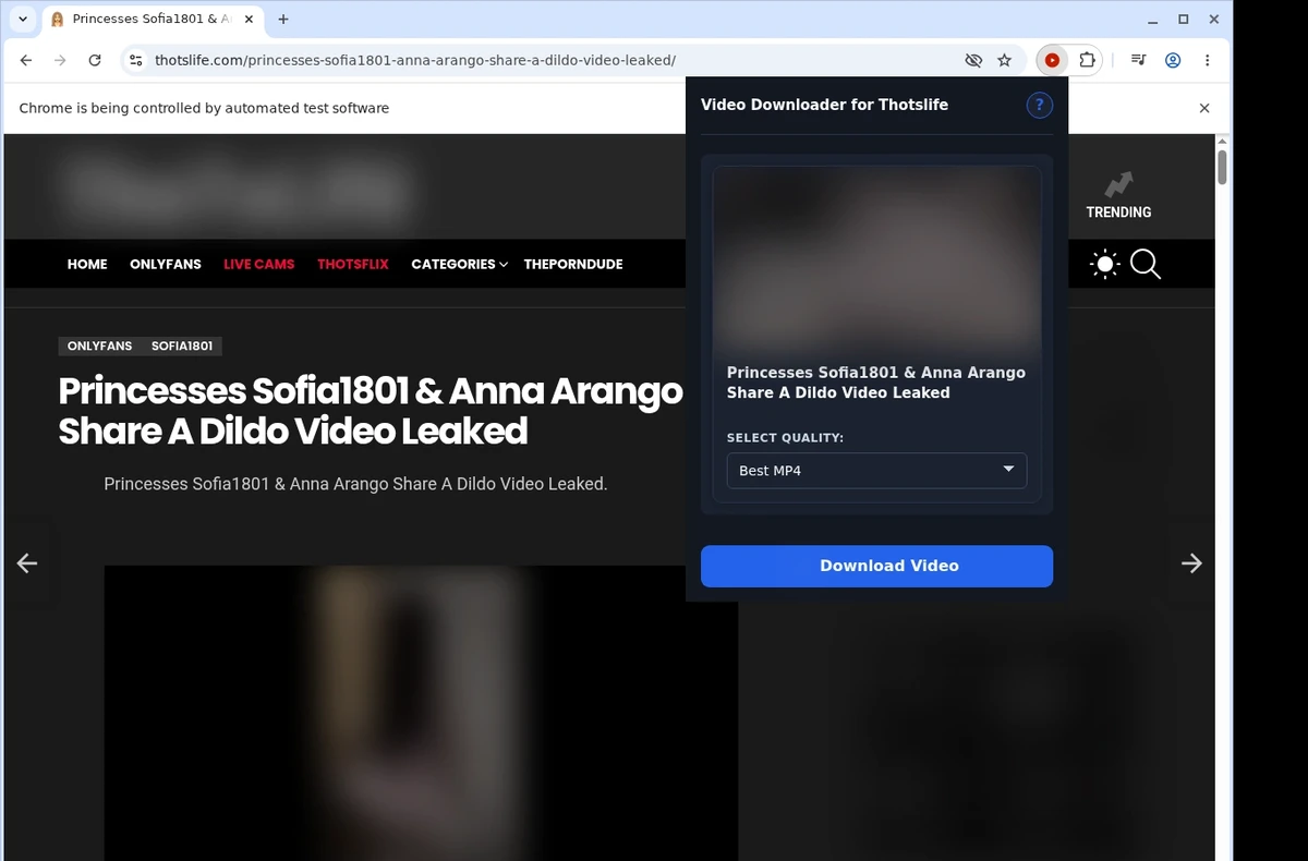 ThotsLife Video Downloader ready state screenshot