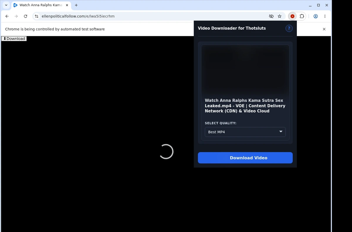 ThotSluts Video Downloader ready state screenshot