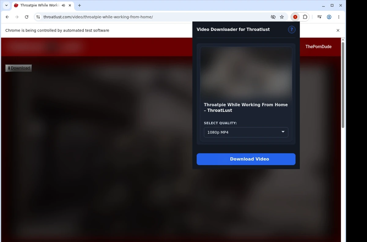 ThroatLust Video Downloader ready state screenshot