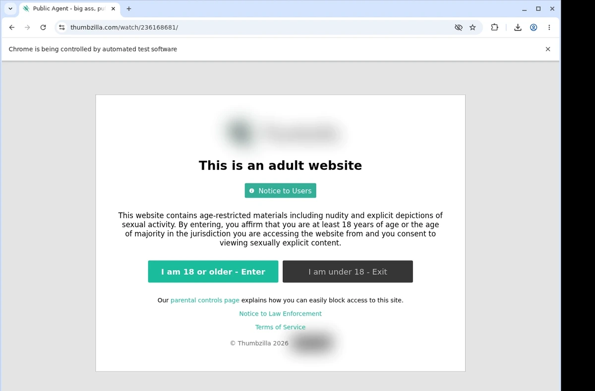Thumbzilla Video Downloader ready state screenshot