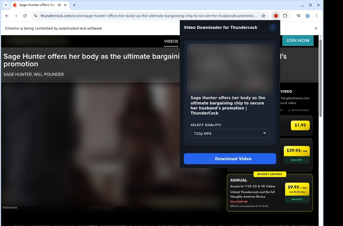 ThunderCock Video Downloader ready state screenshot