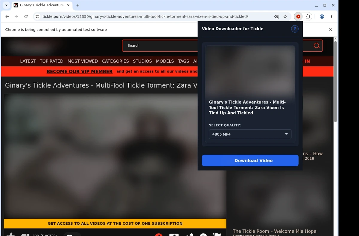 Tickle Video Downloader ready state screenshot