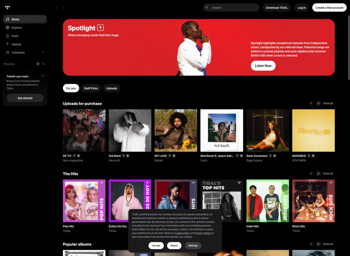 Tidal Downloader website preview
