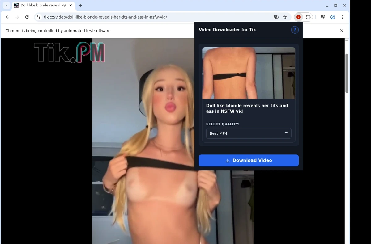 Tik Video Downloader ready state screenshot
