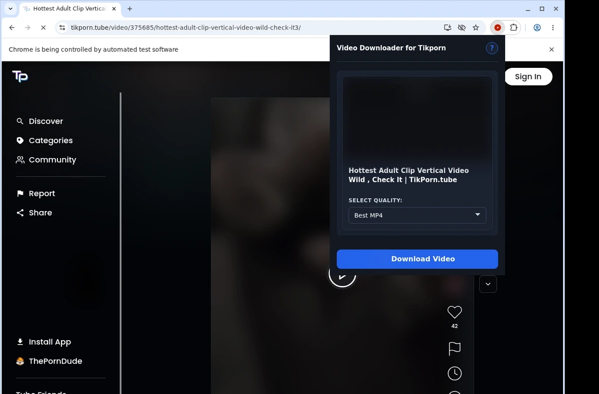 Tikporn Downloader ready state screenshot