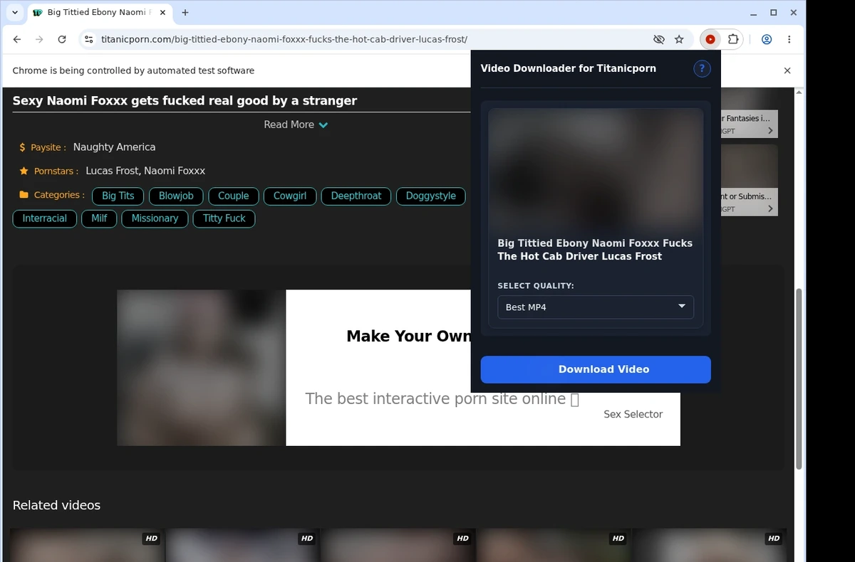 TitanicPorn Video Downloader ready state screenshot