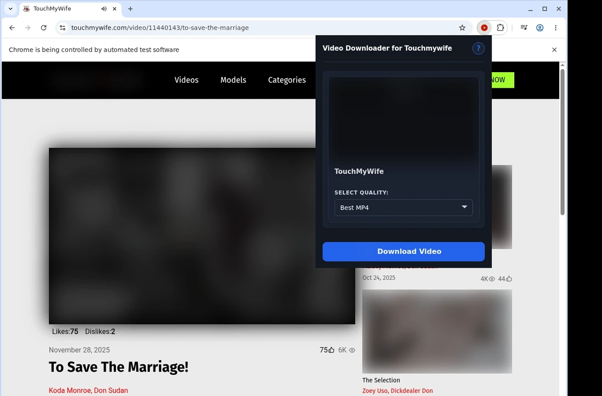 TouchMyWife Video Downloader ready state screenshot