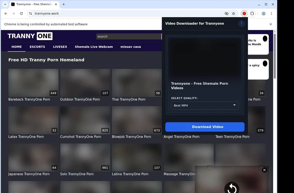 Trannyone Video Downloader ready state screenshot