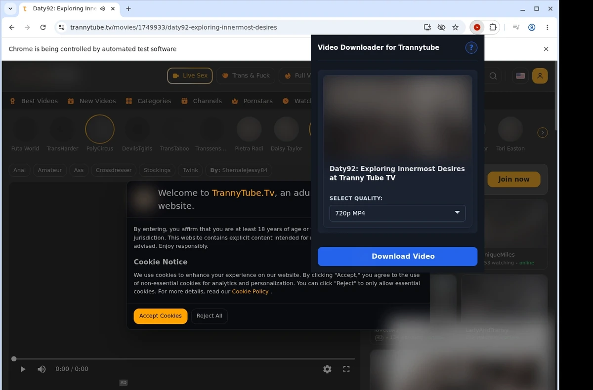 TrannyTube Video Downloader ready state screenshot