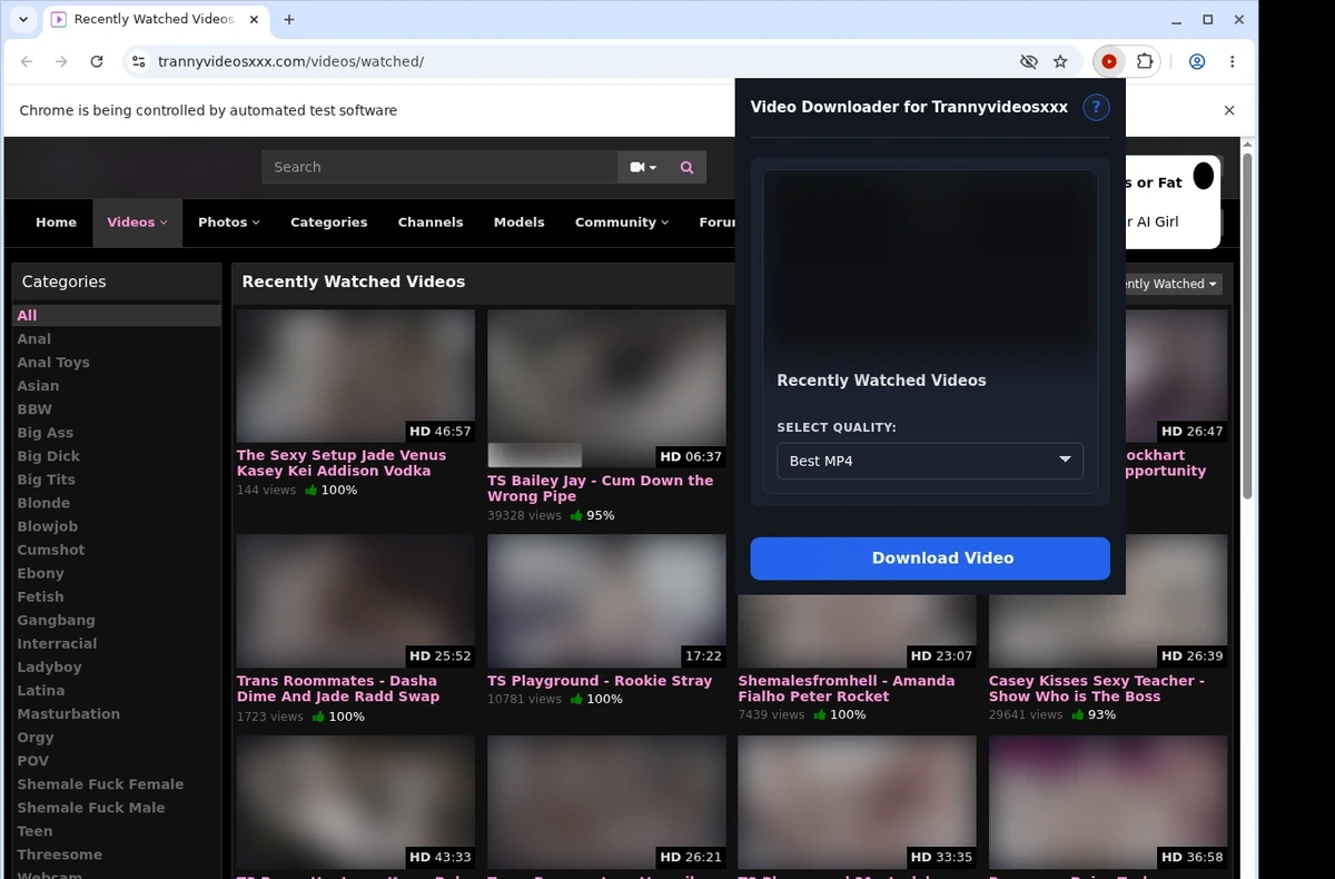 TrannyVideosXXX Video Downloader ready state screenshot
