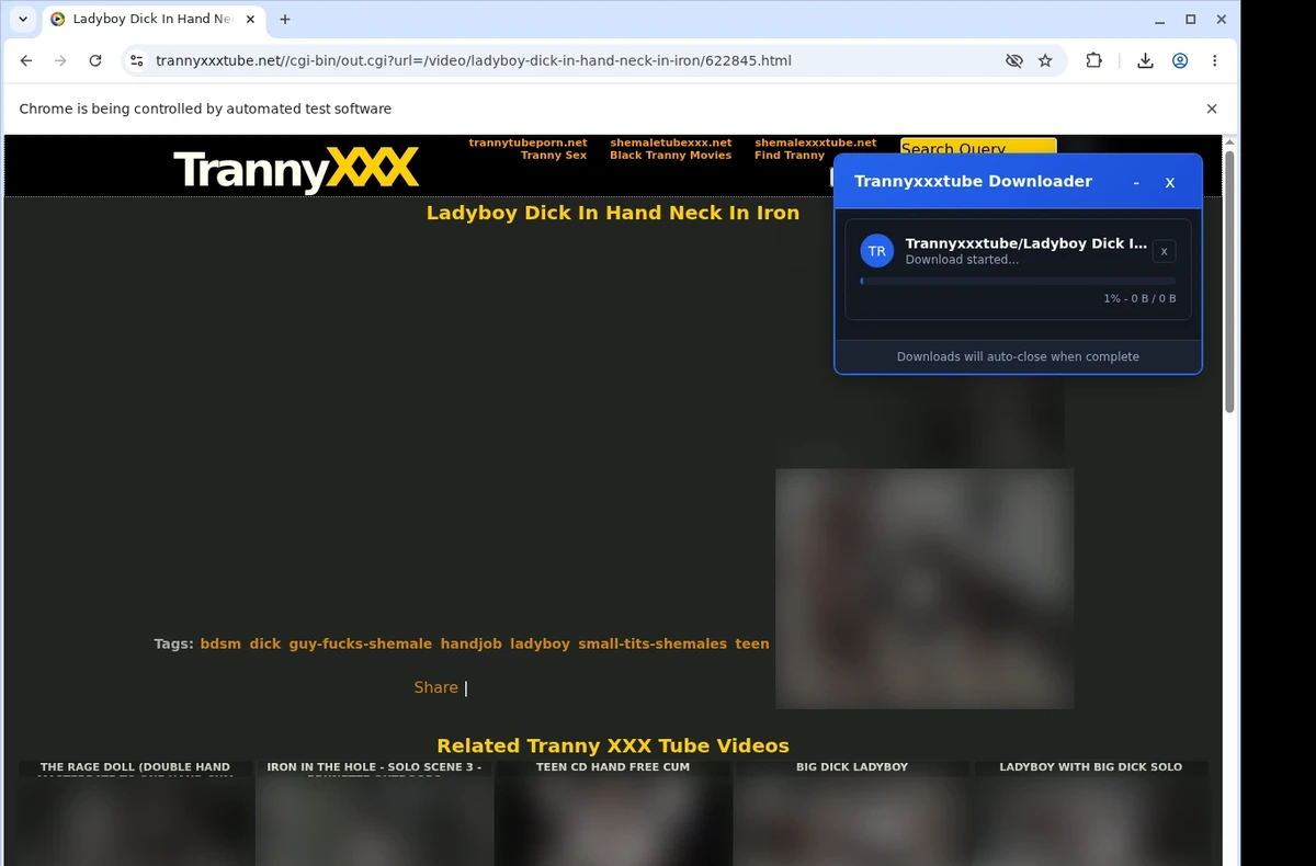 TrannyXXXTube Video Downloader ready state screenshot