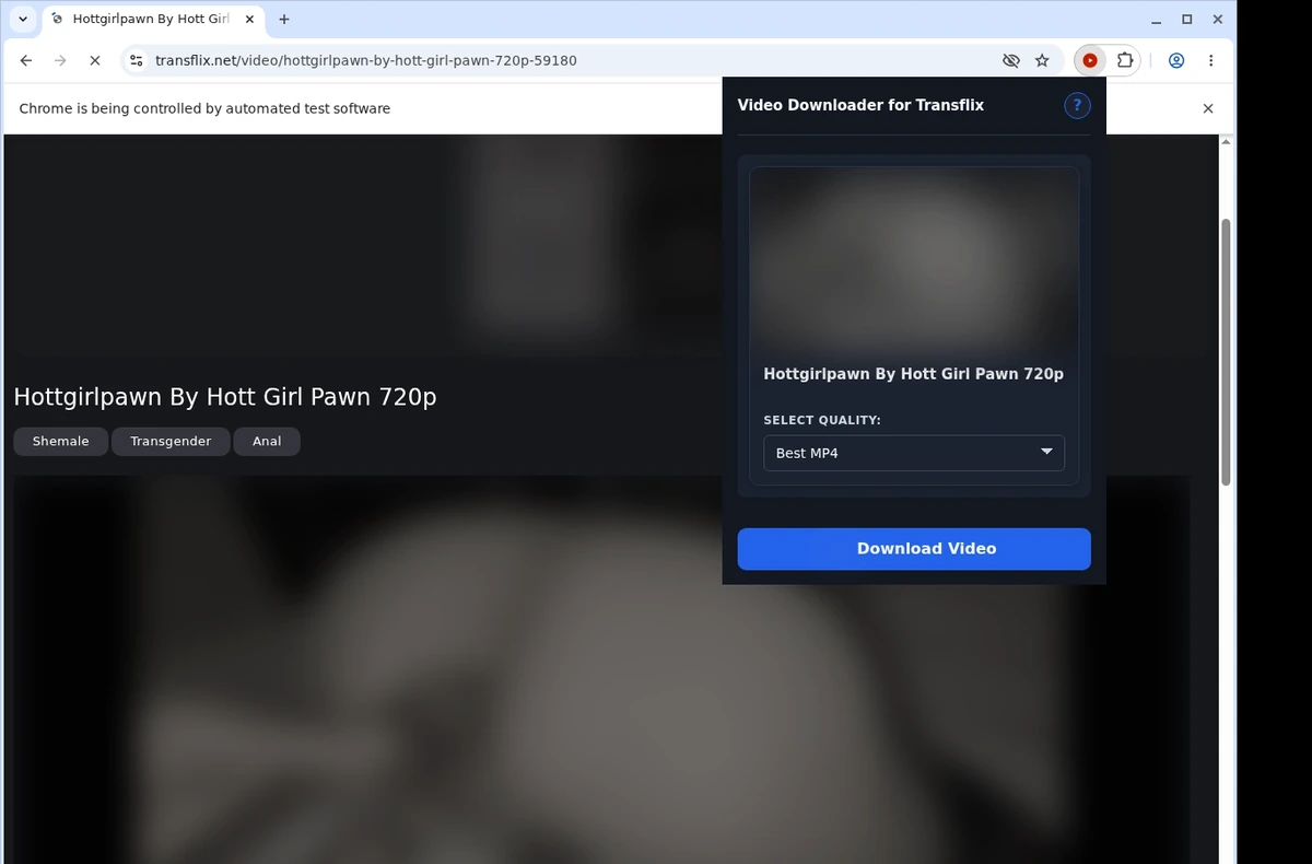 TransFlix Video Downloader ready state screenshot