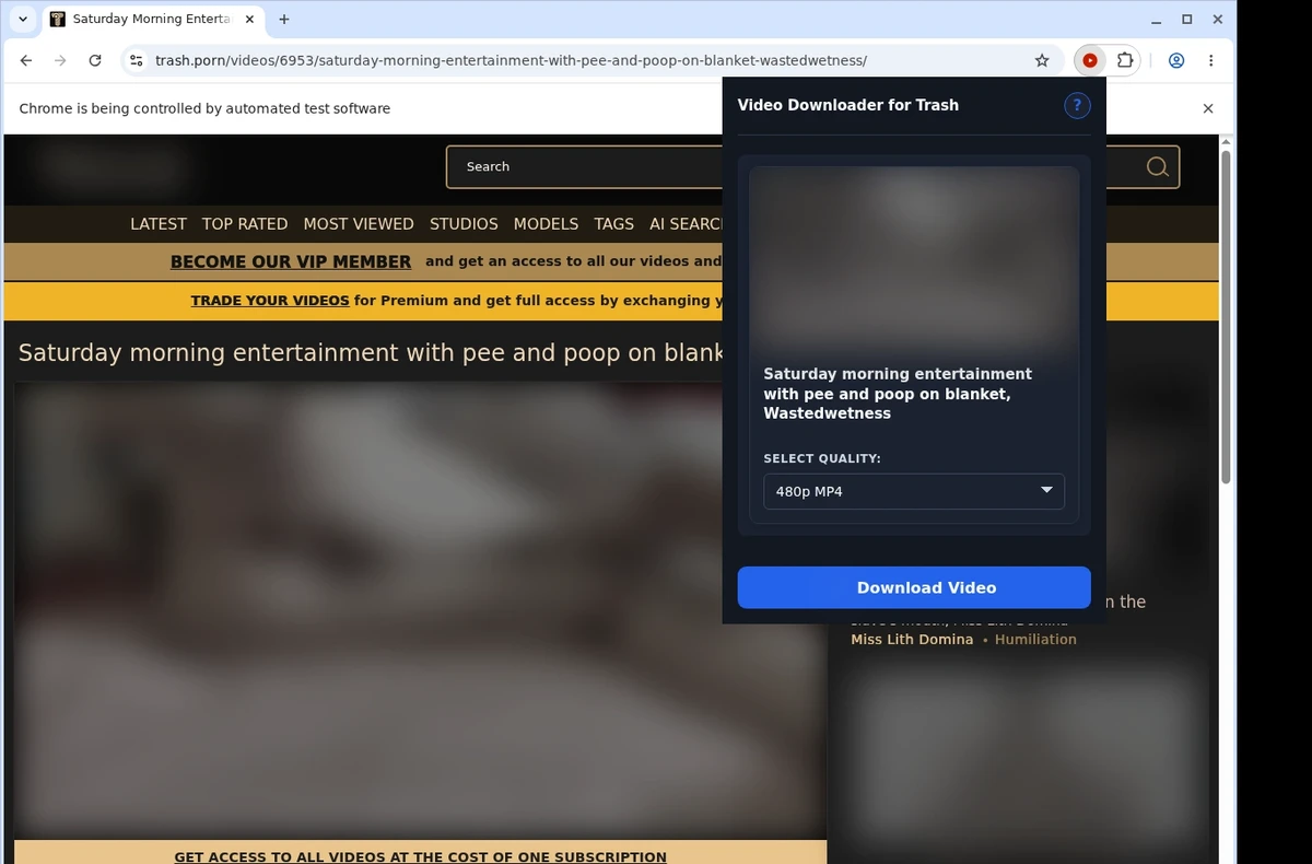 Trash.porn Video Downloader ready state screenshot
