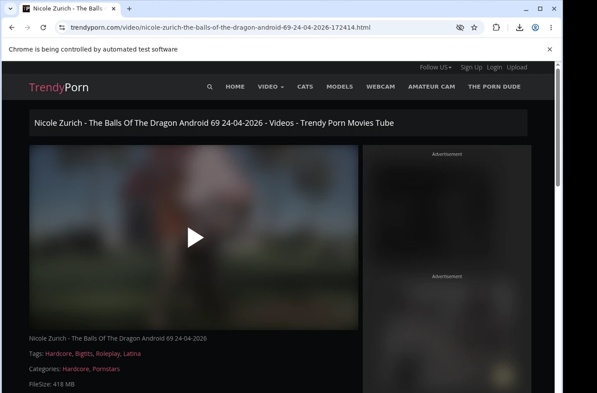TrendyPorn Video Downloader ready state screenshot