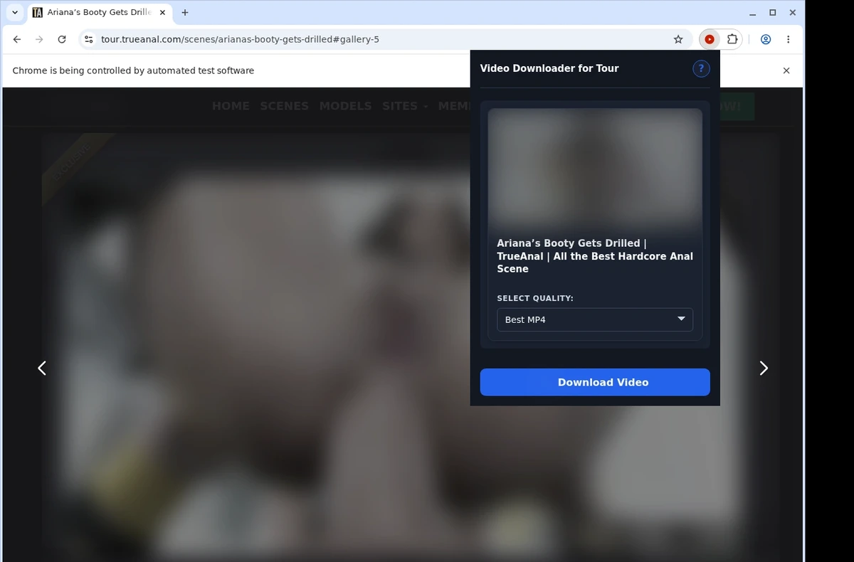 TrueAnal Video Downloader ready state screenshot