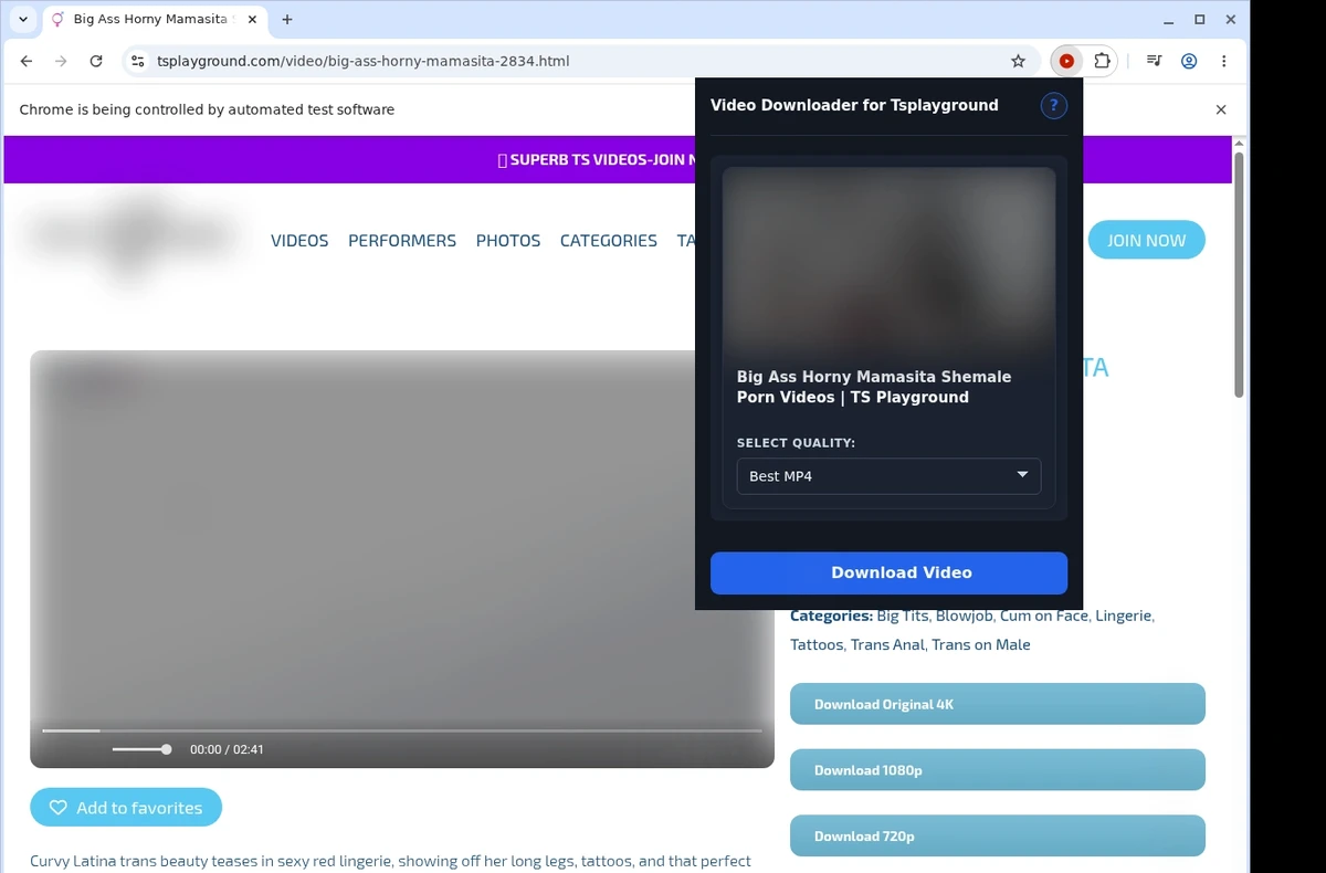 TSPlayground Video Downloader ready state screenshot