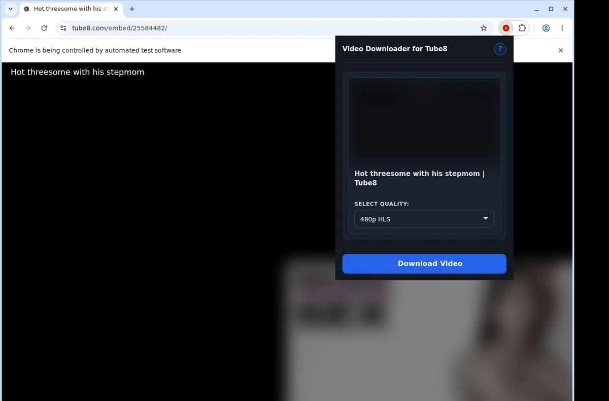 Tube8 Video Downloader ready state screenshot