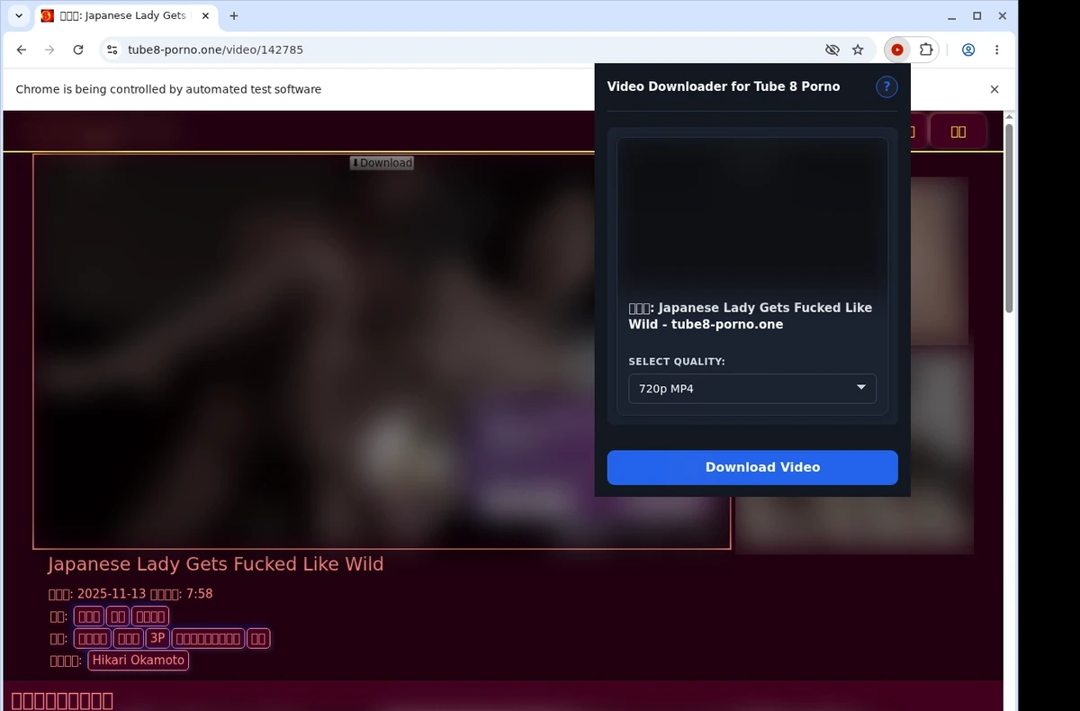 Tube 8 Porno Video Downloader ready state screenshot