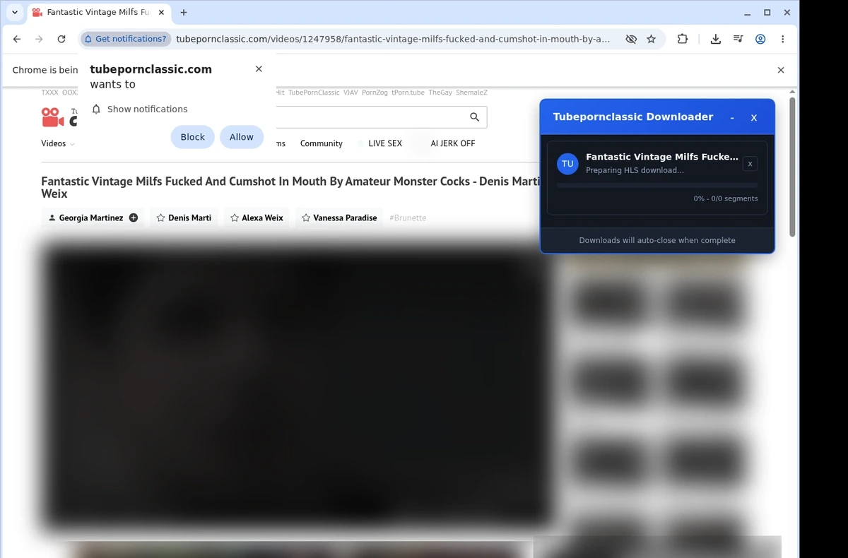 TubePornClassic Video Downloader ready state screenshot