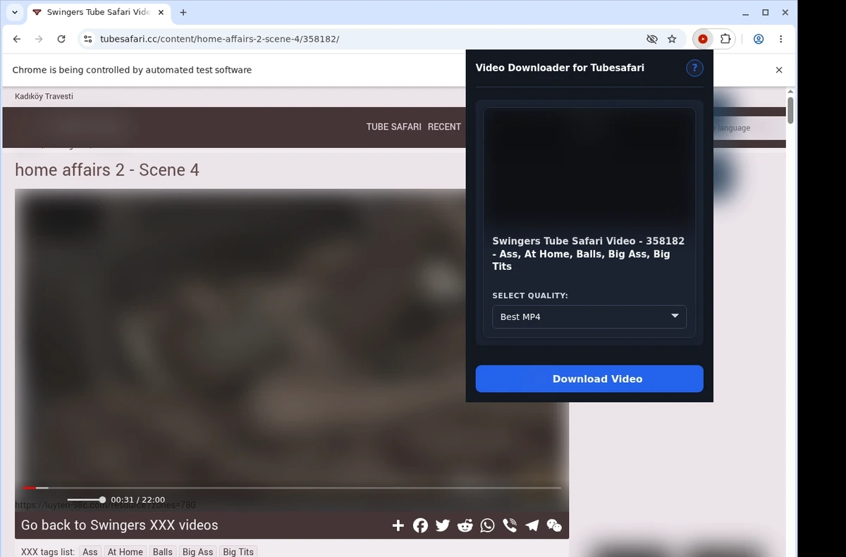 TubeSafari Video Downloader ready state screenshot