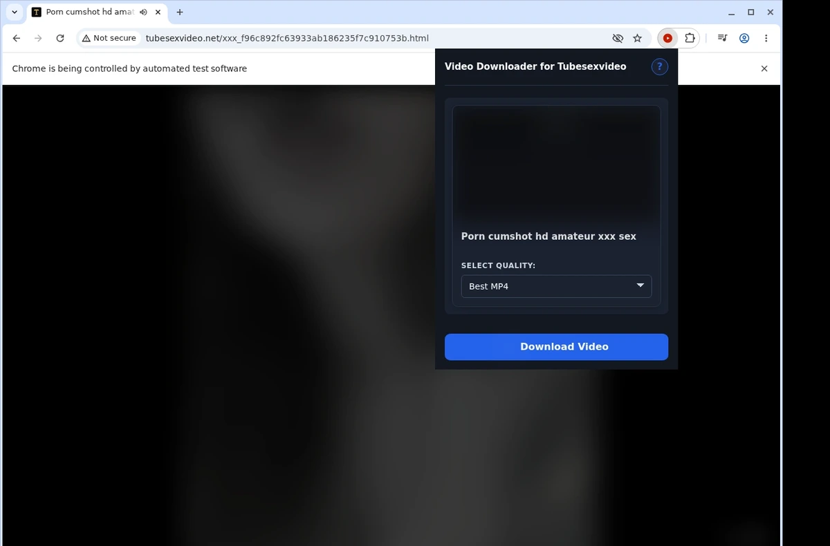 Tubesexvideo Video Downloader ready state screenshot