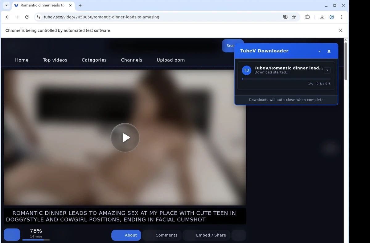 TubeV Video Downloader ready state screenshot