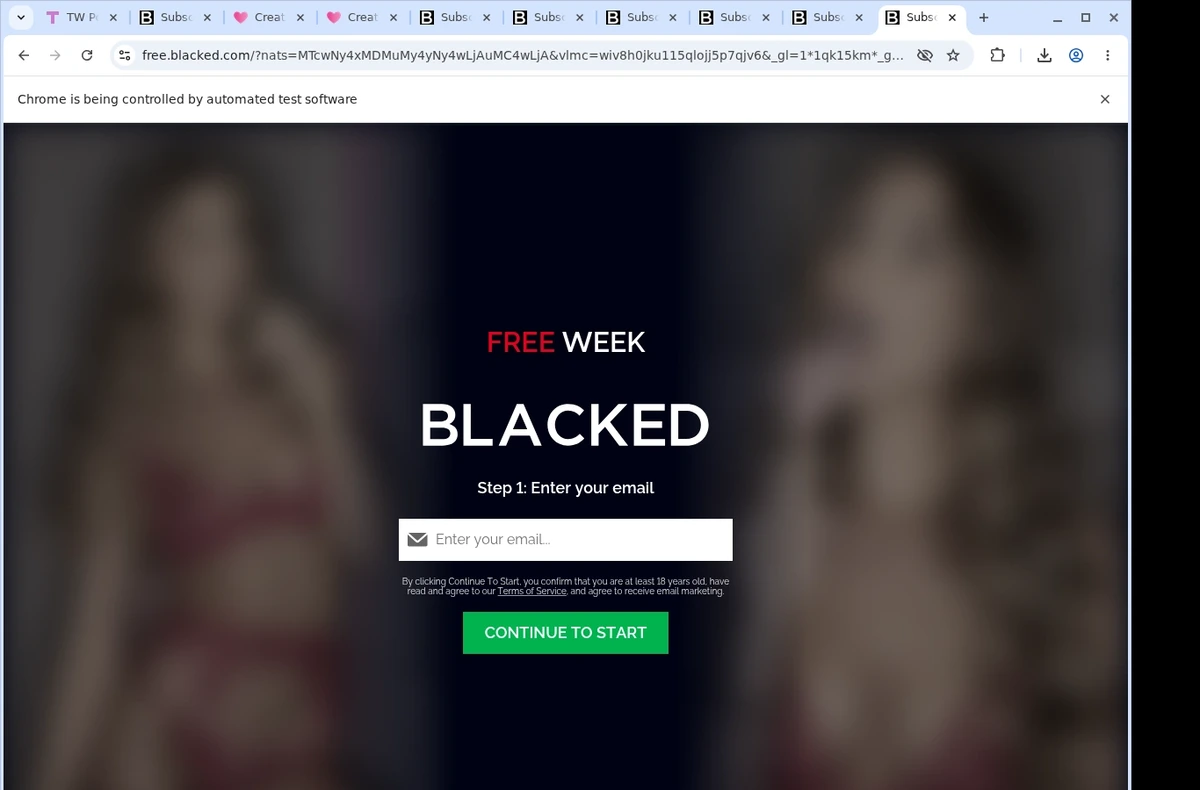 TW Pornstars Video Downloader ready state screenshot