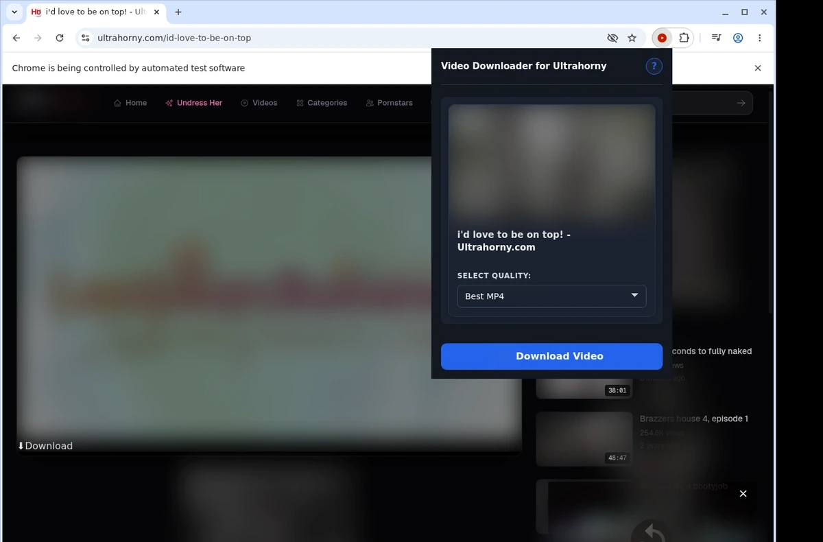 UltraHorny Video Downloader ready state screenshot