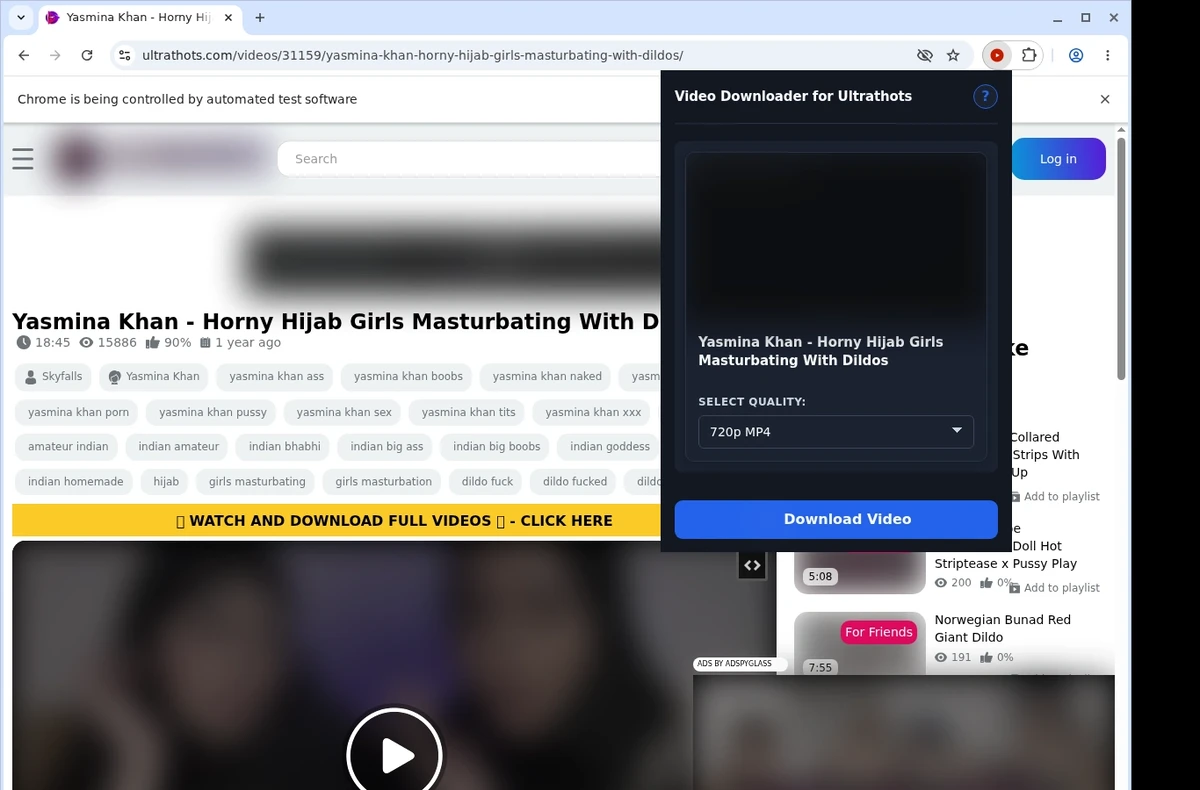 UltraThots Video Downloader ready state screenshot
