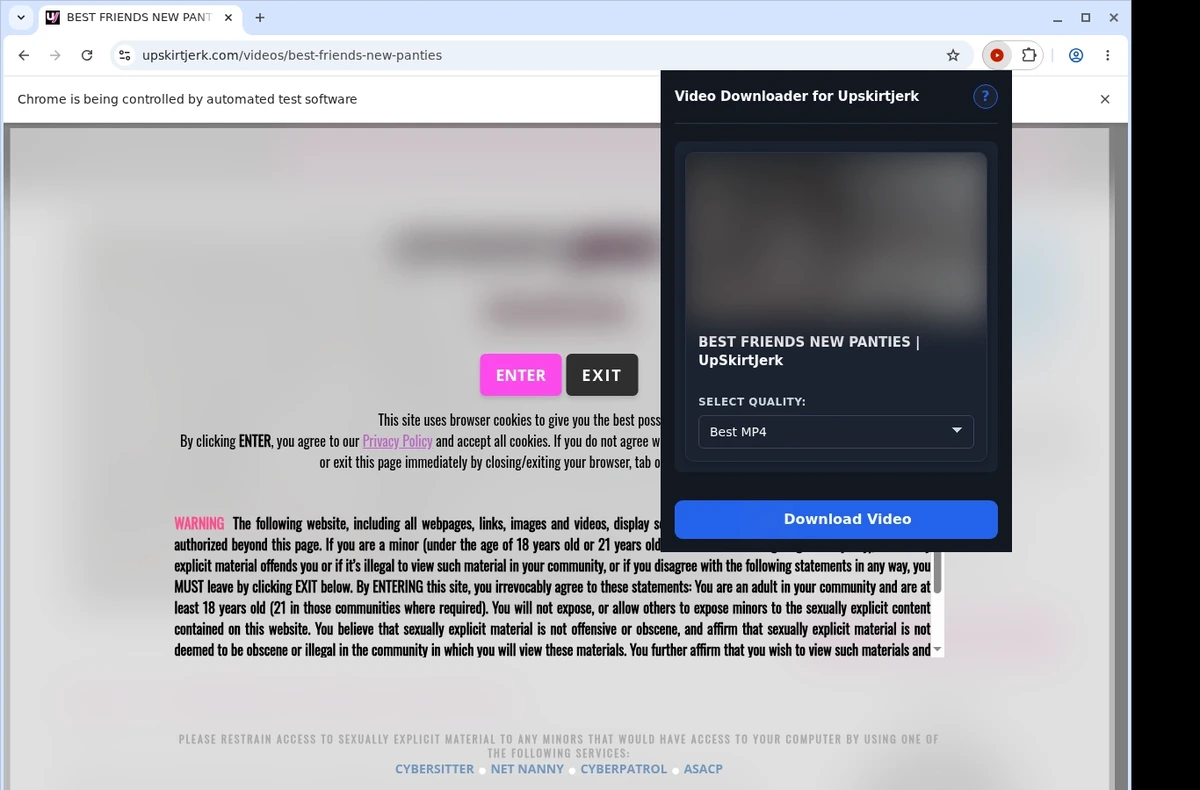 UpskirtJerk Video Downloader ready state screenshot