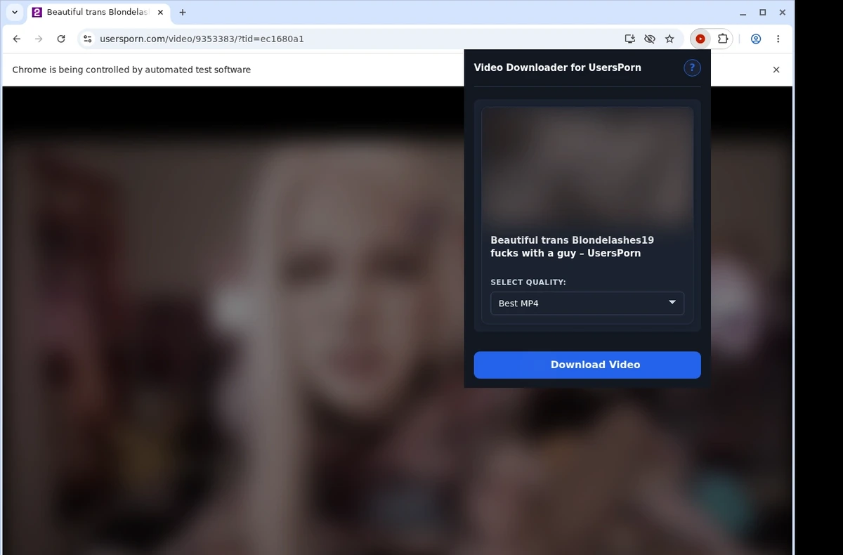 UsersPorn Video Downloader ready state screenshot