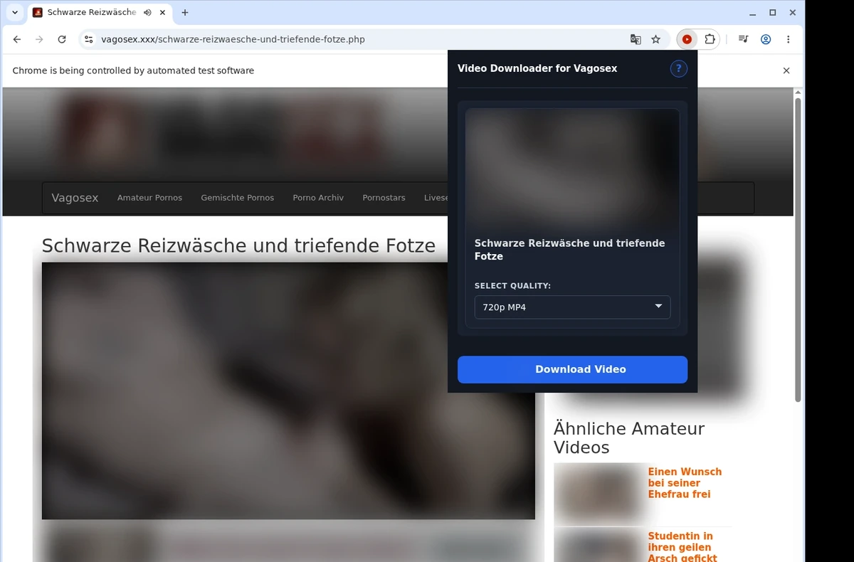 VagoSex Video Downloader ready state screenshot