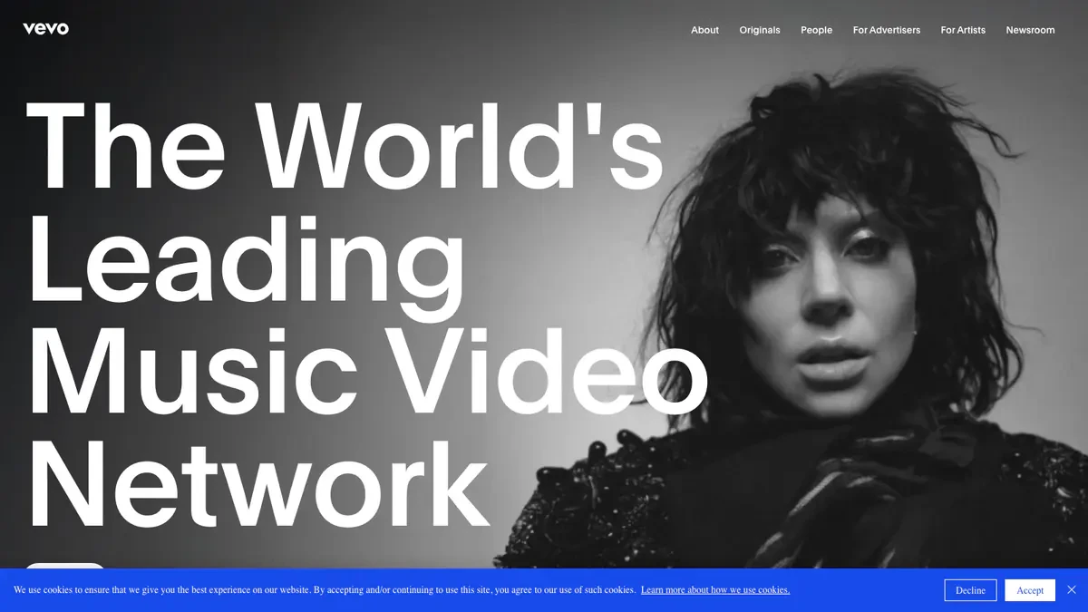 Vevo Downloader website preview