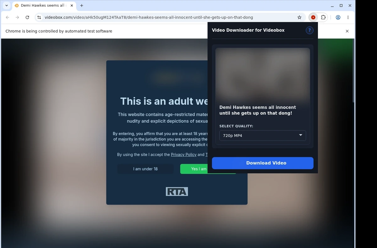 VideoBox Video Downloader ready state screenshot
